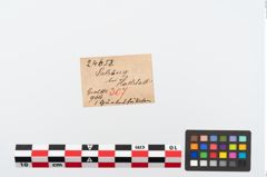 Etikett zu Bronzegürtelhaken (NHMW-PRAE-024658)